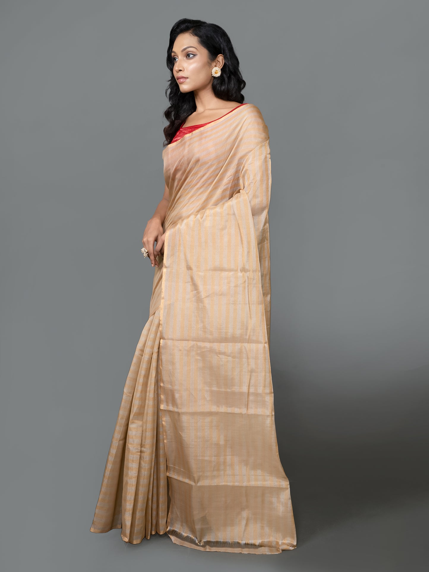 Chanderi Tissue Stripe