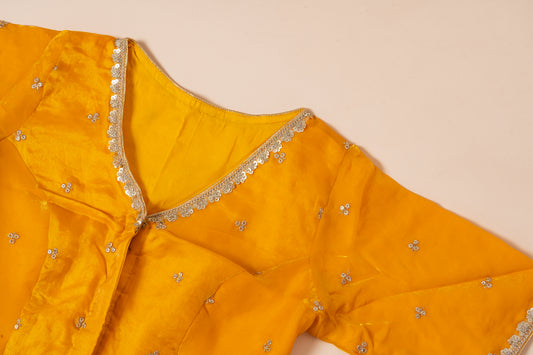 Pakhna yellow party wear blouse