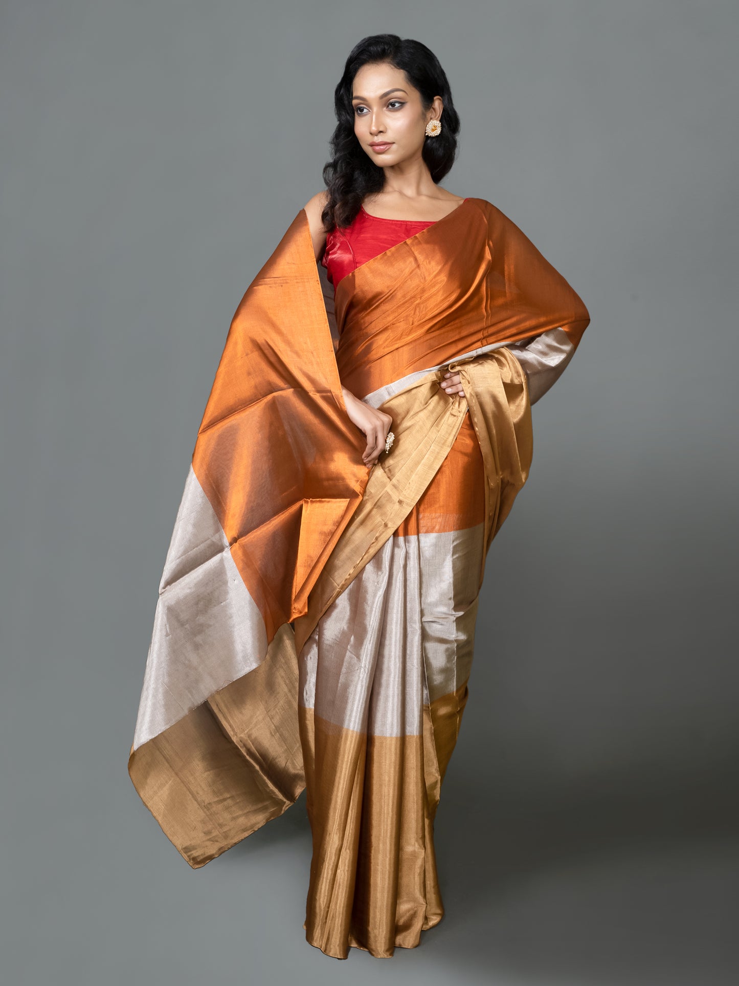 Ragini Pure Chanderi Tissue Saree