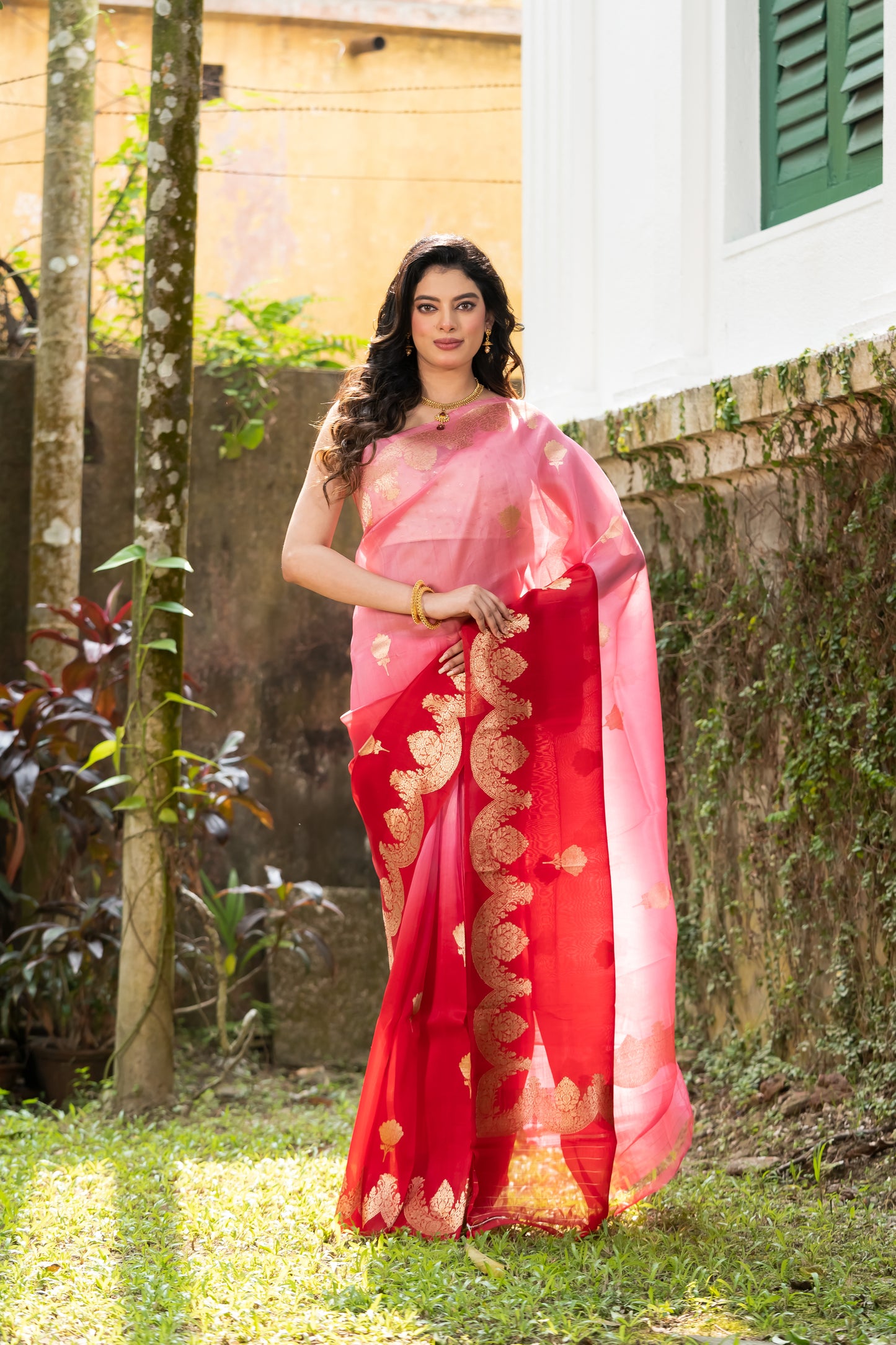 Pakhna pure Kora Banarasi saree