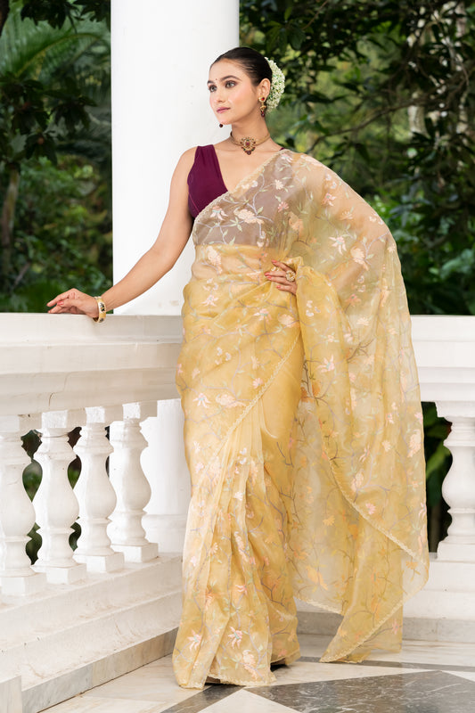 beige fancy tissue embroidery saree