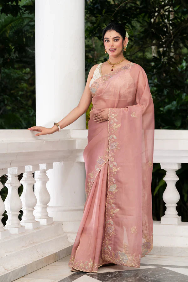 Pakhna Partywear Saree Picks for Every Wedding Function