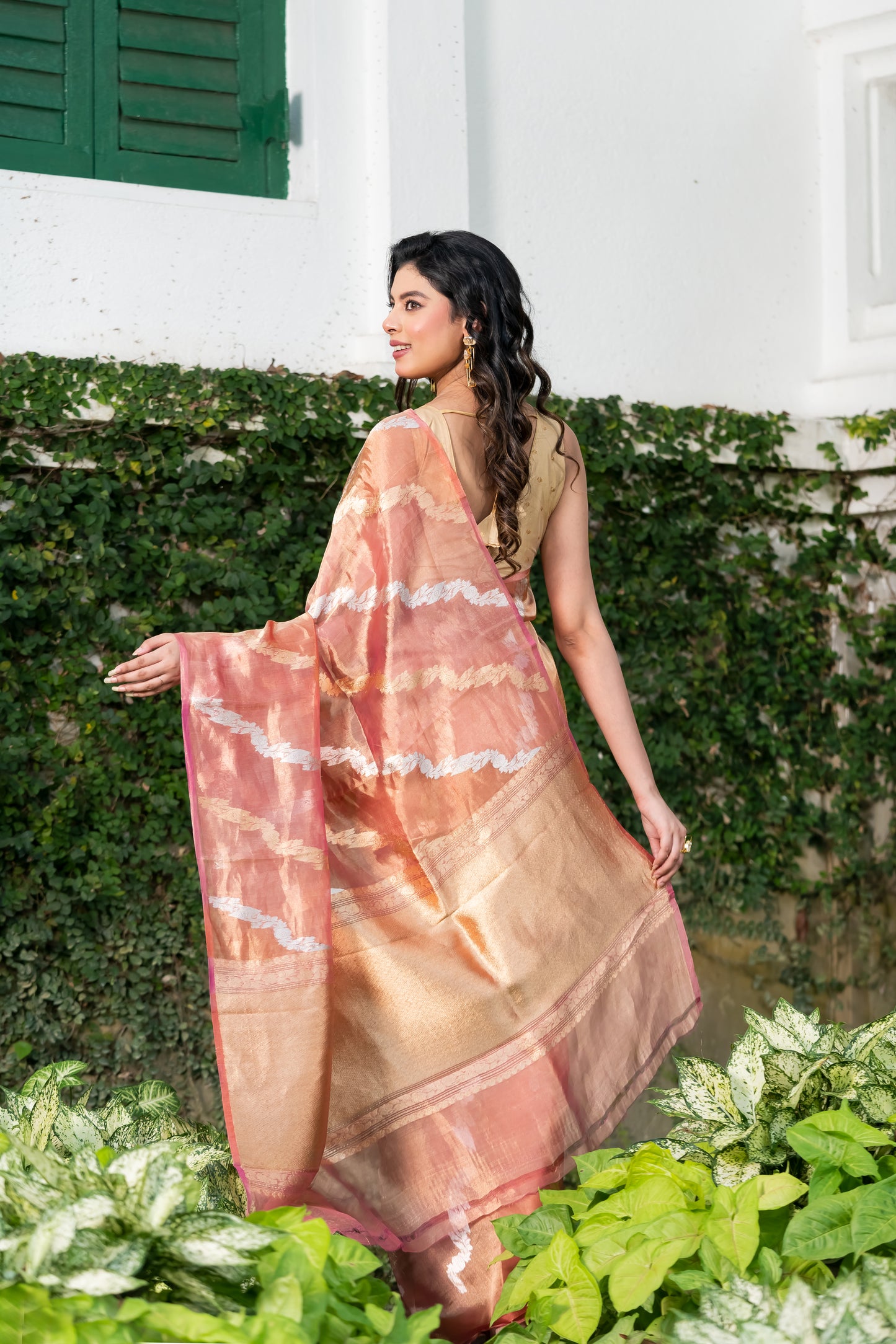 Pakhna pure tissue  Banarasi  saree with Sona Rupa zari
