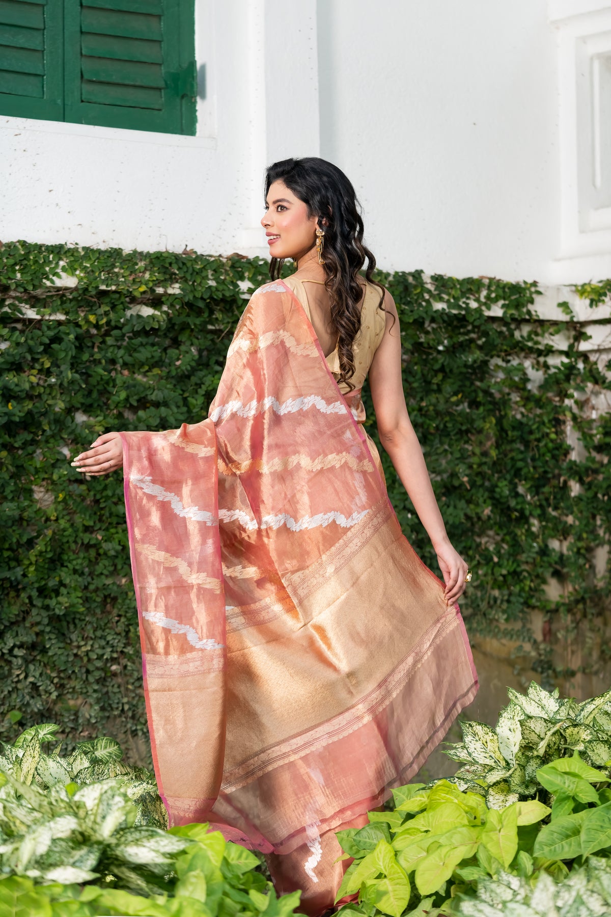 Pakhna Pure Tissue Banarasi  Saree with Sona Rupa Zari