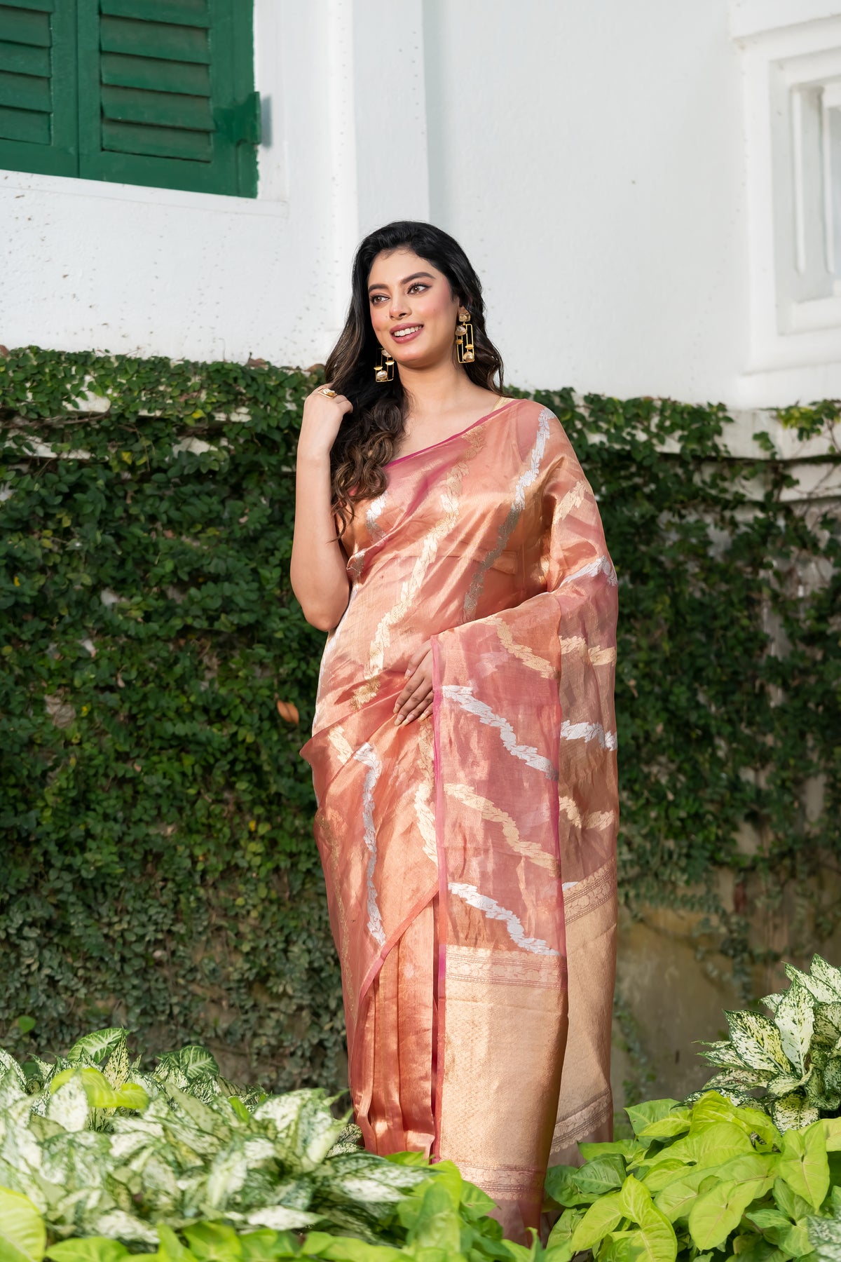 Pakhna Pure Tissue Banarasi  Saree with Sona Rupa Zari