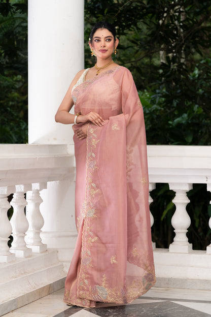 Pakhna tissue hand embroidery saree