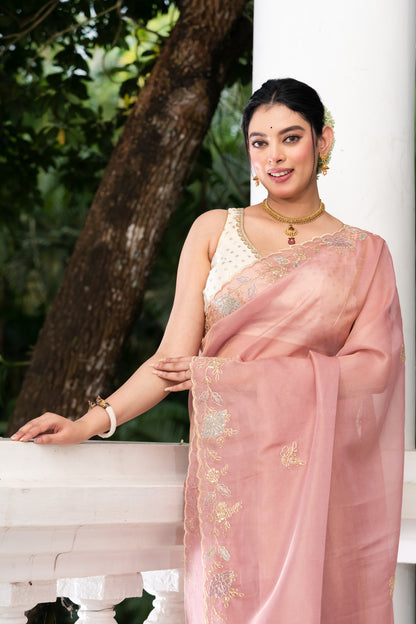 Pakhna tissue hand embroidery saree