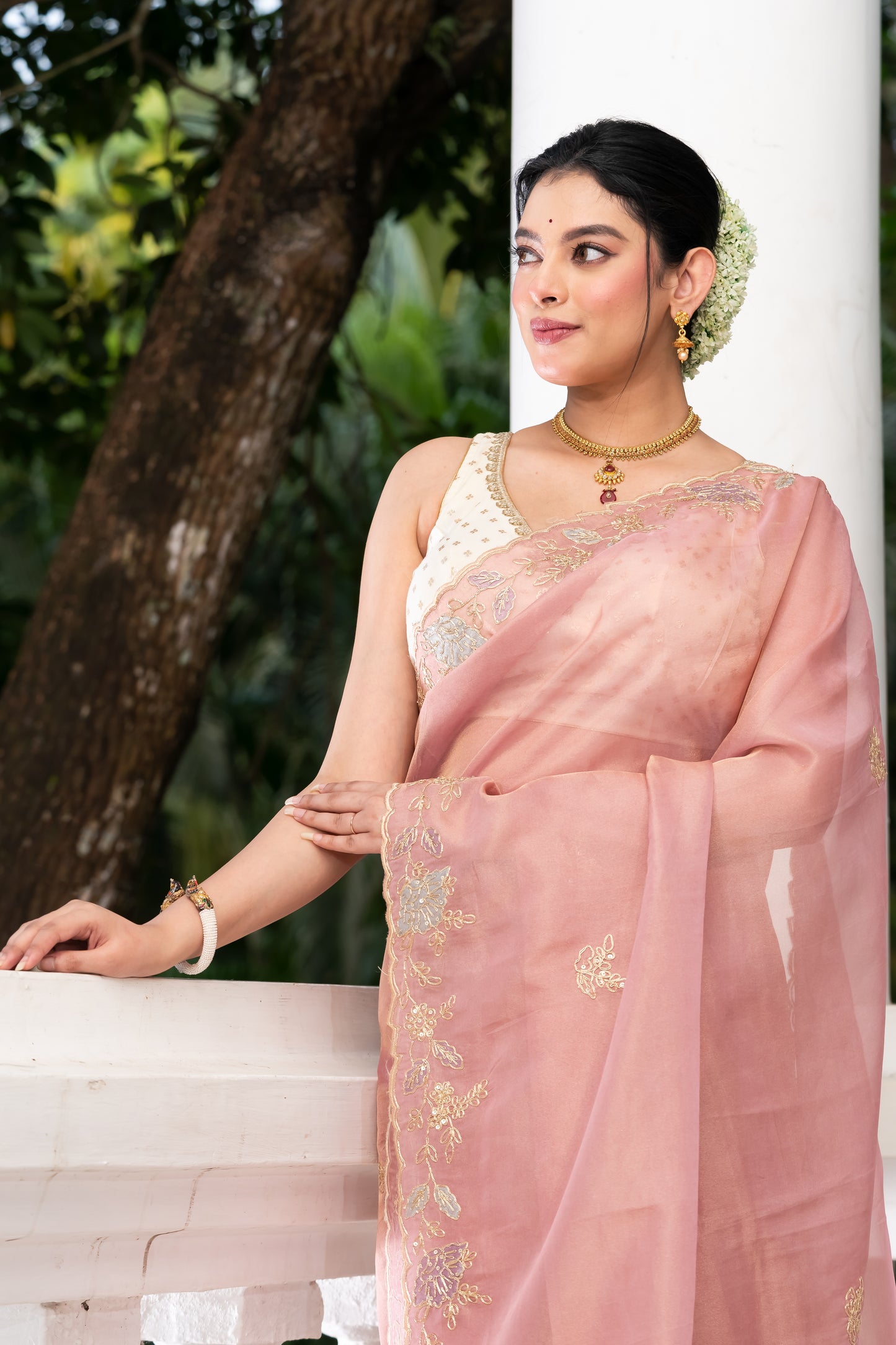 Pakhna tissue hand embroidery saree