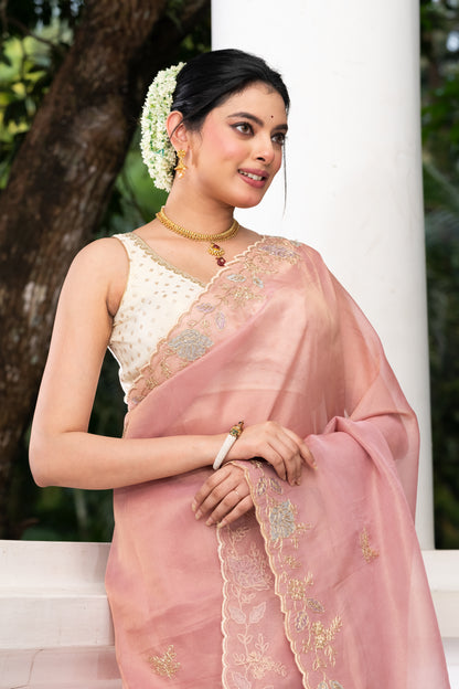 Pakhna tissue hand embroidery saree