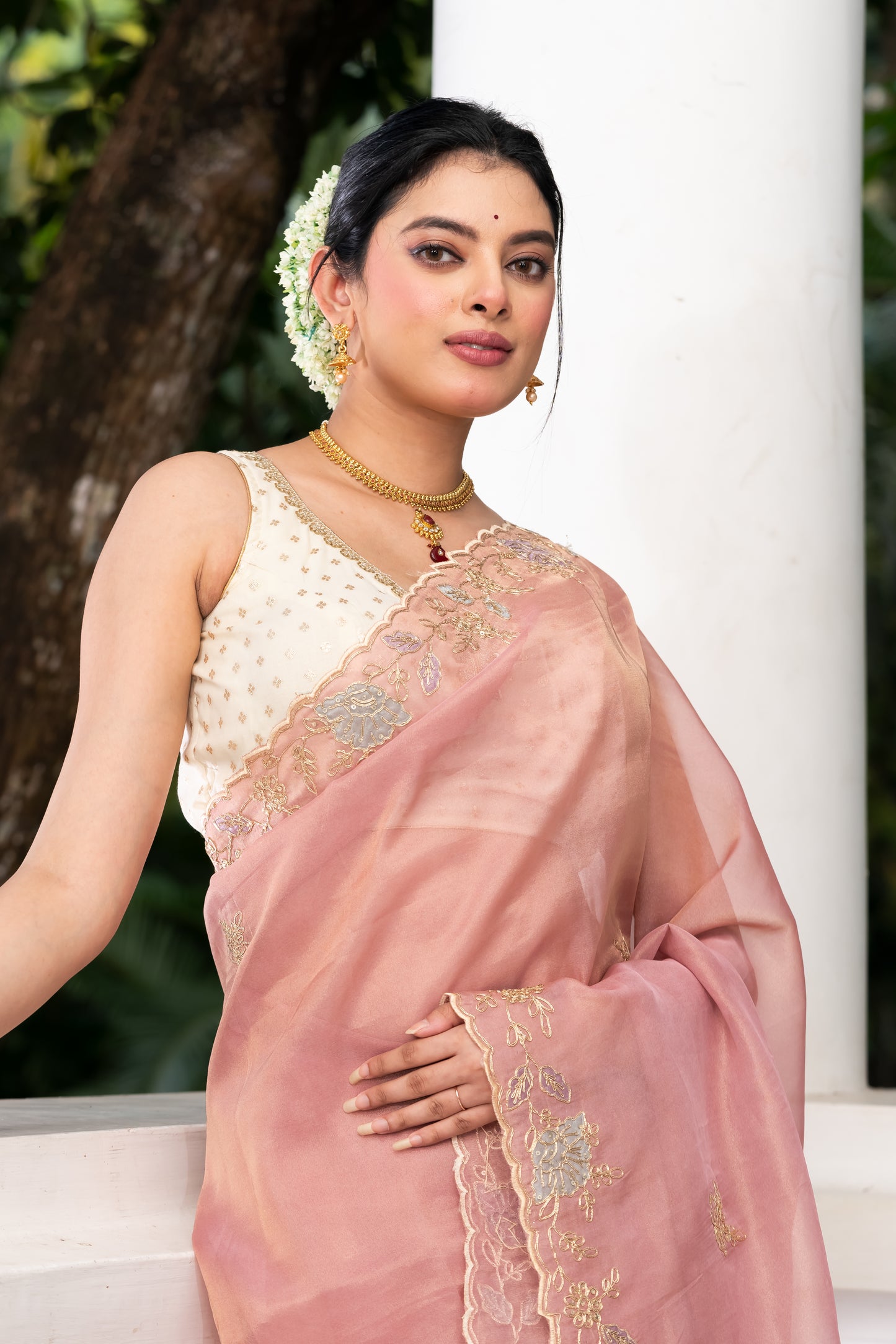 Pakhna tissue hand embroidery saree