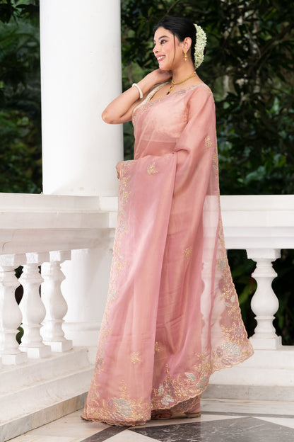 Pakhna tissue hand embroidery saree