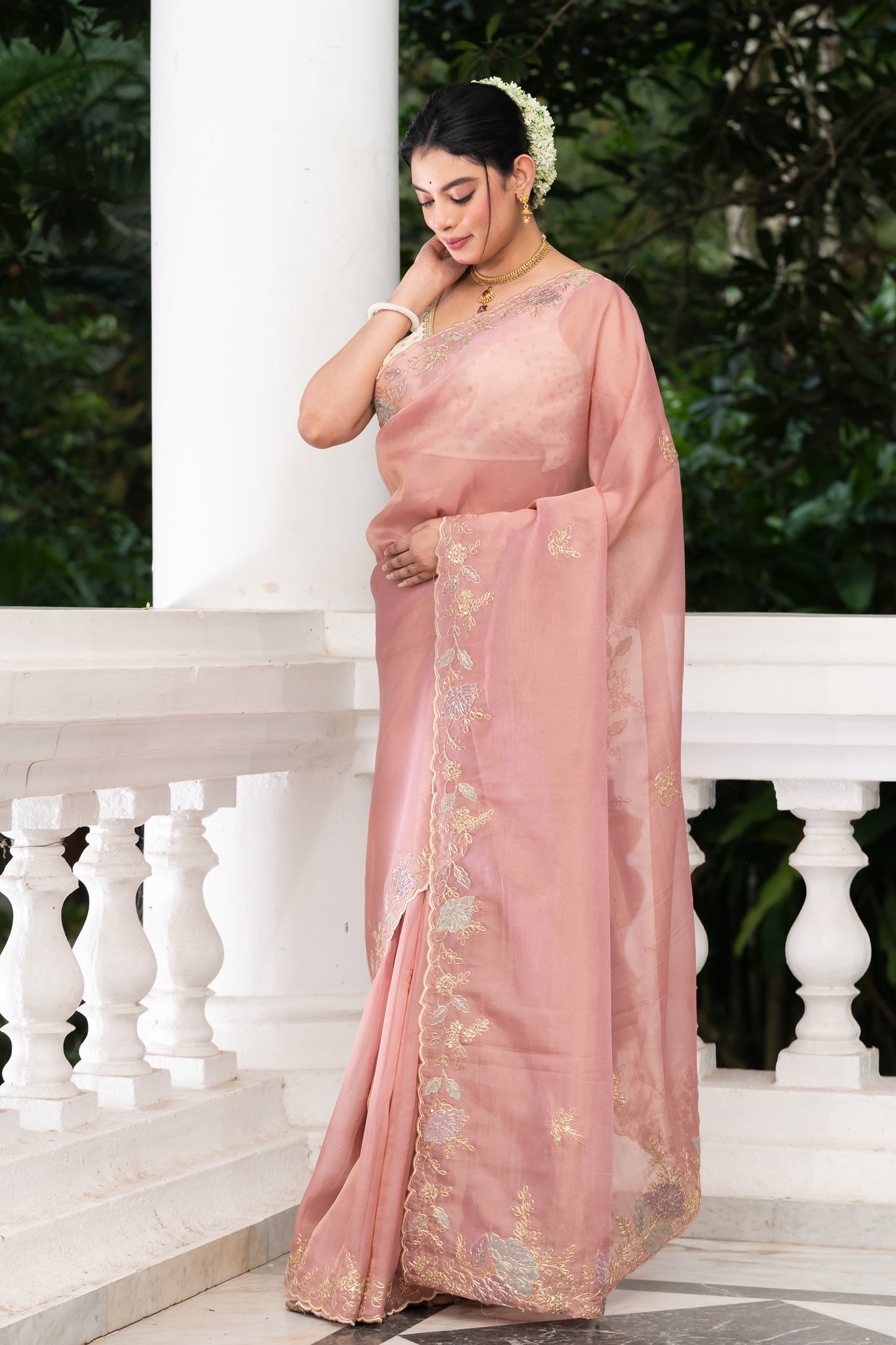 Pakhna tissue hand embroidery saree
