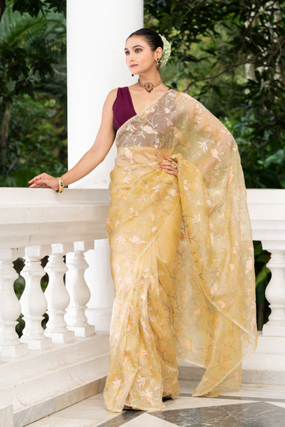 Fancy tissue embroidery saree