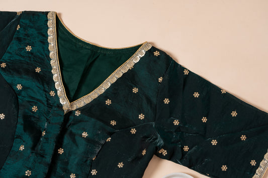 Pakhna party wear blouse