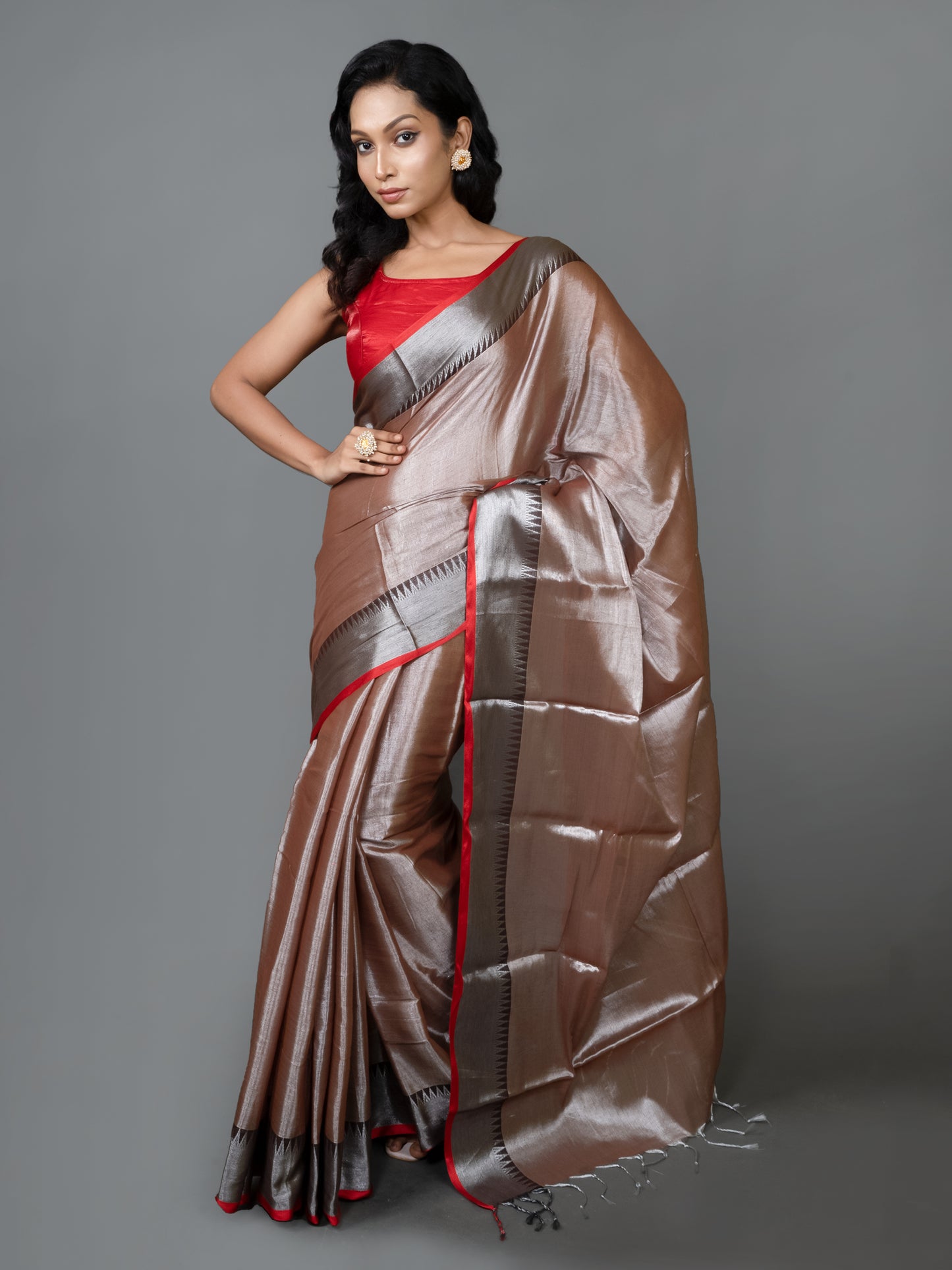 Grey Raga Tissue Saree