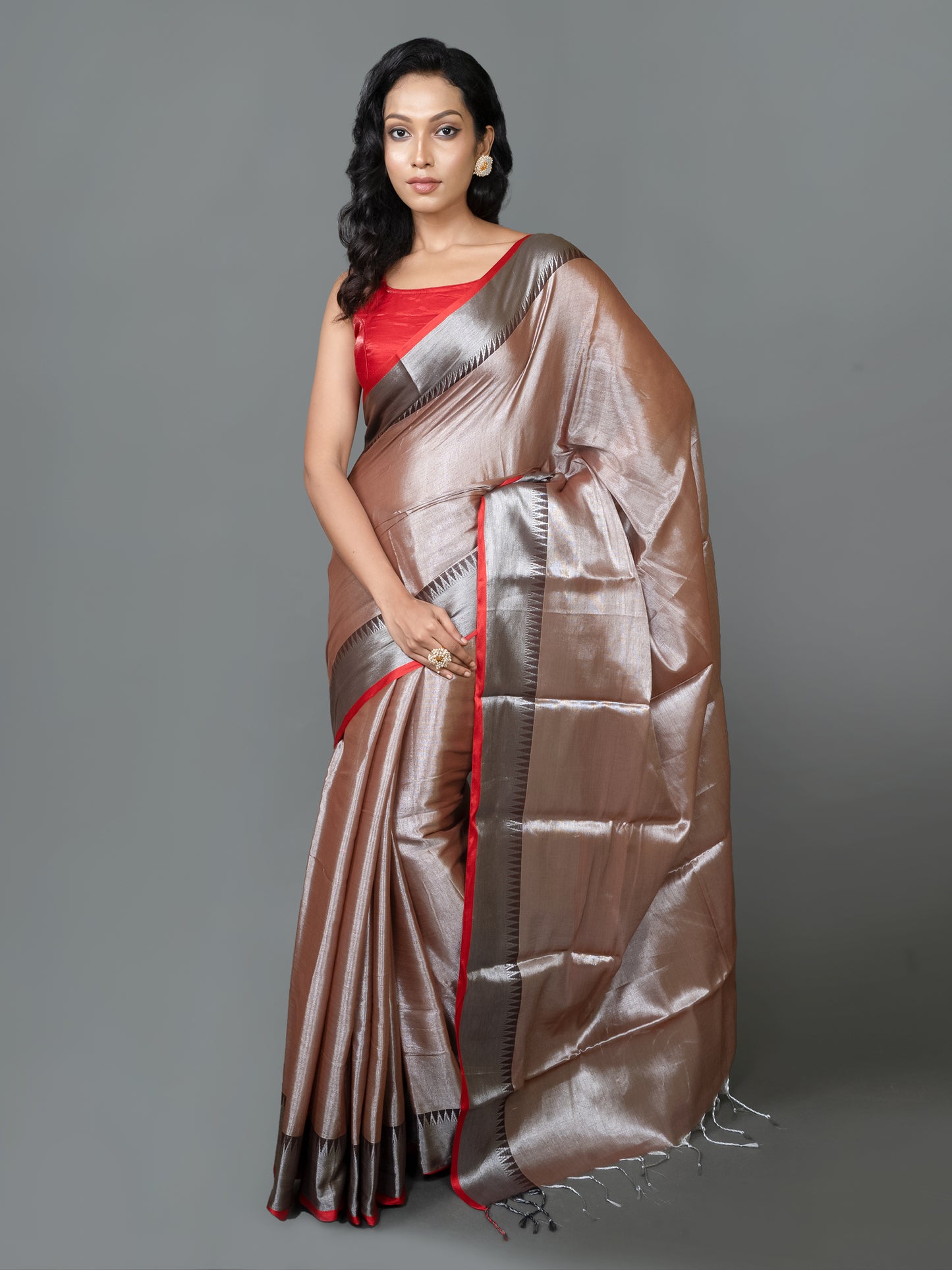 Grey Raga Tissue Saree