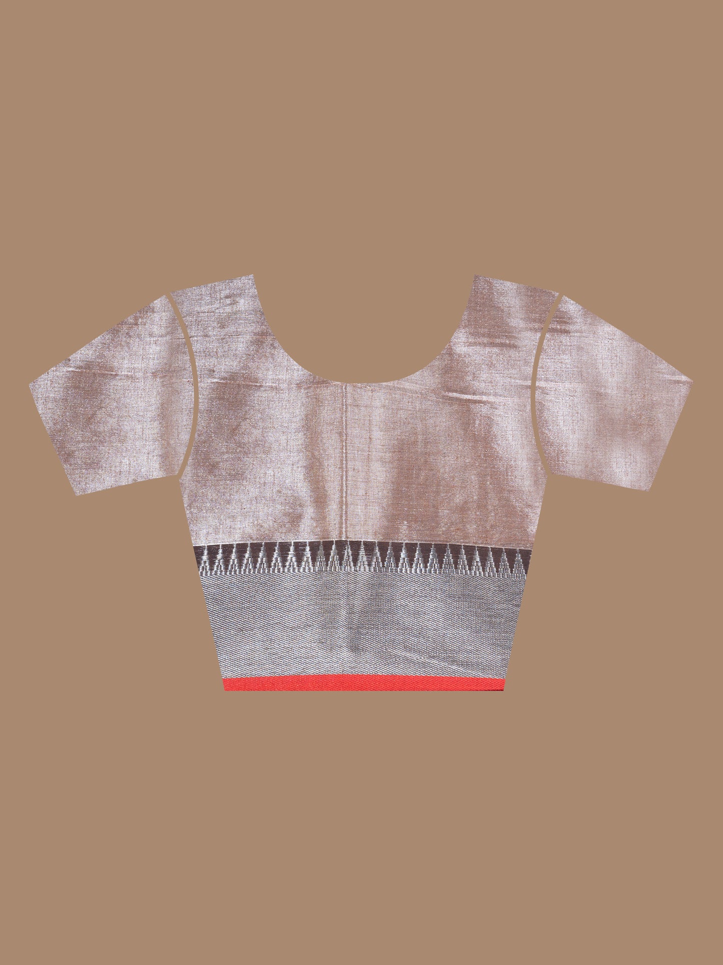 Grey Raga Tissue Saree