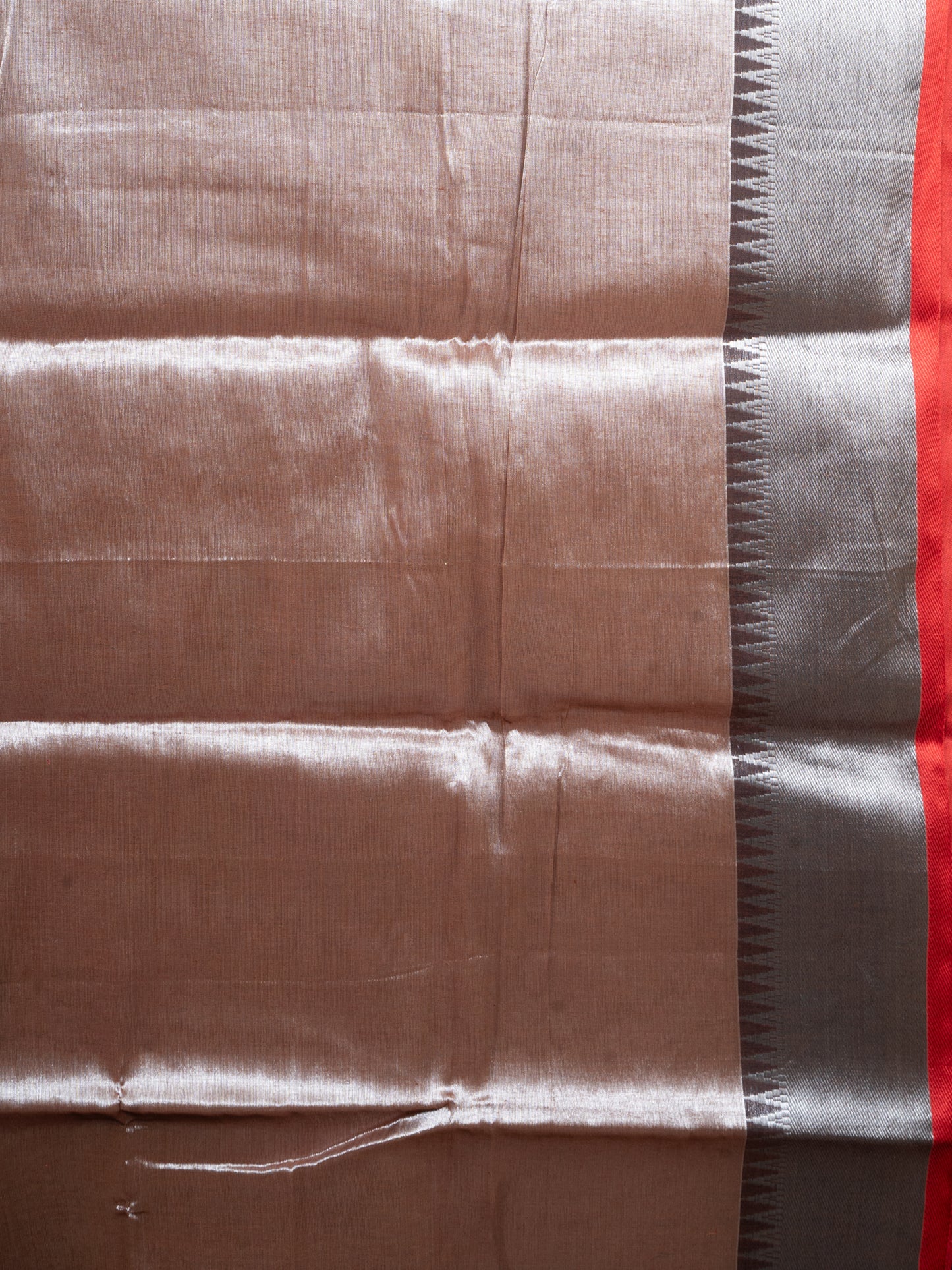 Grey Raga Tissue Saree