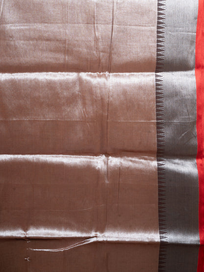 Grey Raga Tissue Saree