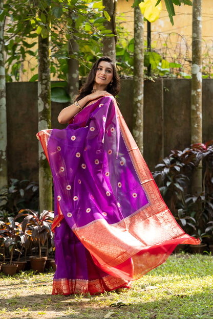 Pakhna pure Kora Banarasi saree