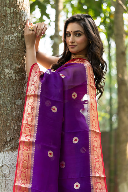 Pakhna pure Kora Banarasi saree