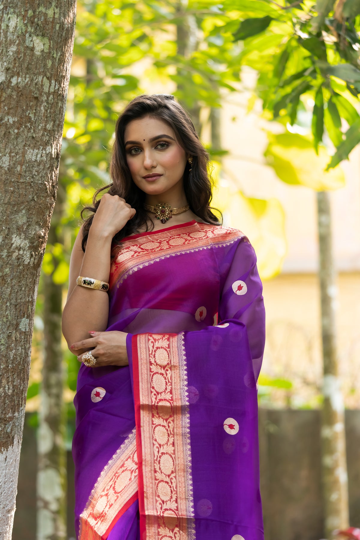 Pakhna Pure Kora Banarasi Saree