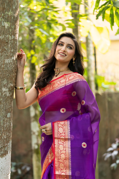 Pakhna pure Kora Banarasi saree