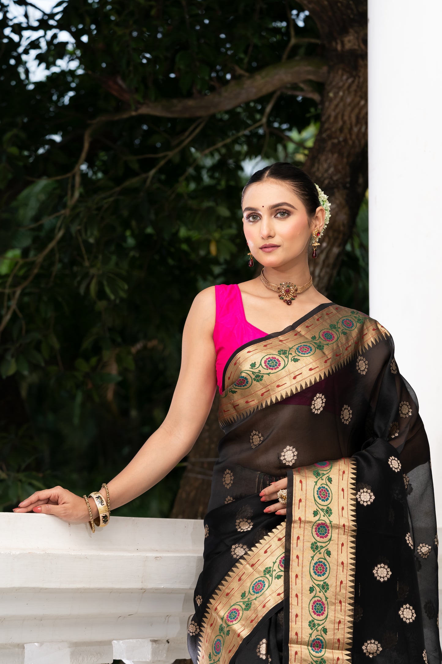 Pakhna Kora organza Banarasi saree