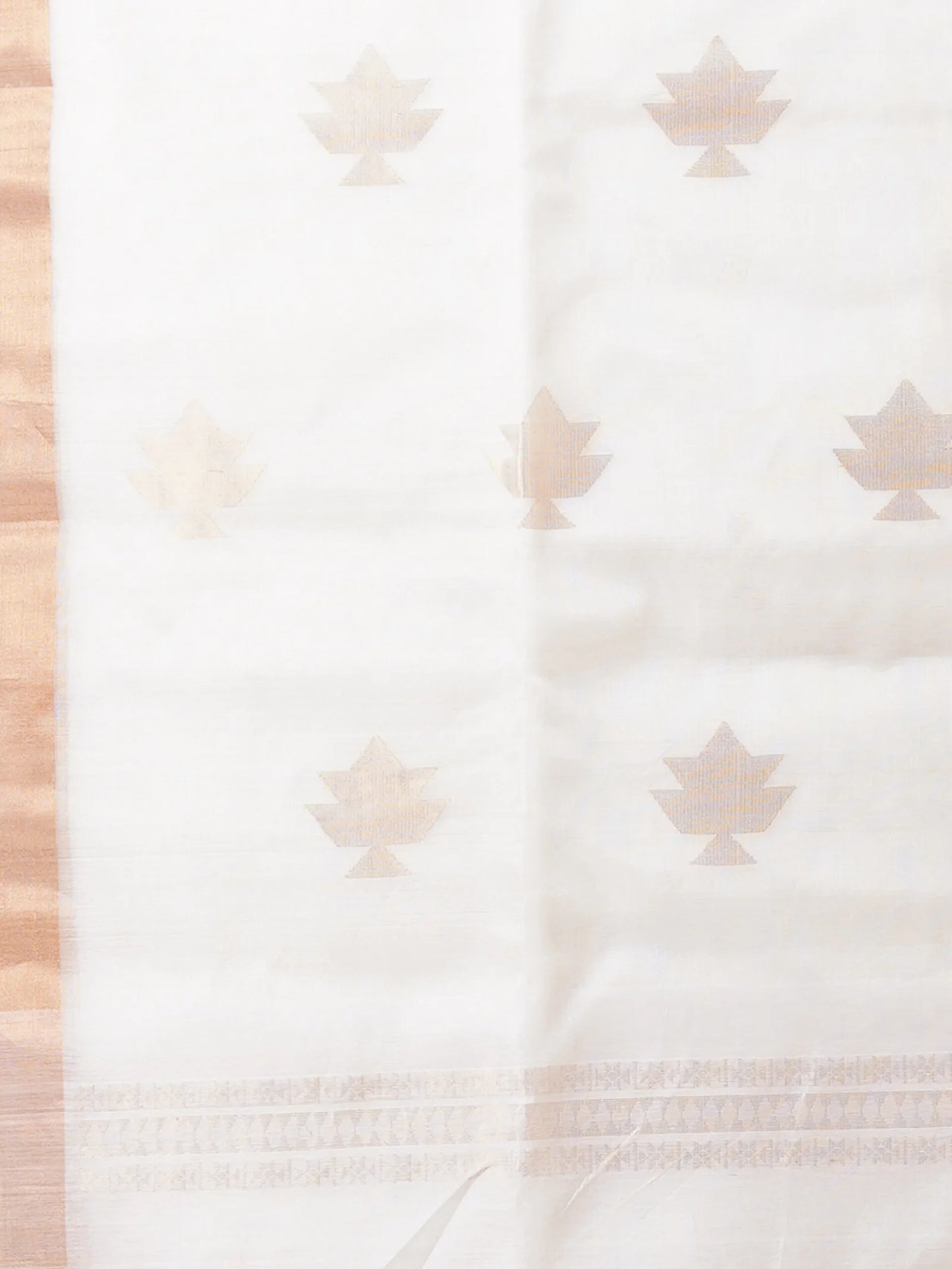 CHANDRIKA SILK COTTON SAREE