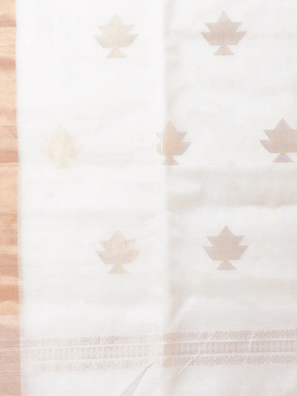 CHANDRIKA SILK COTTON SAREE