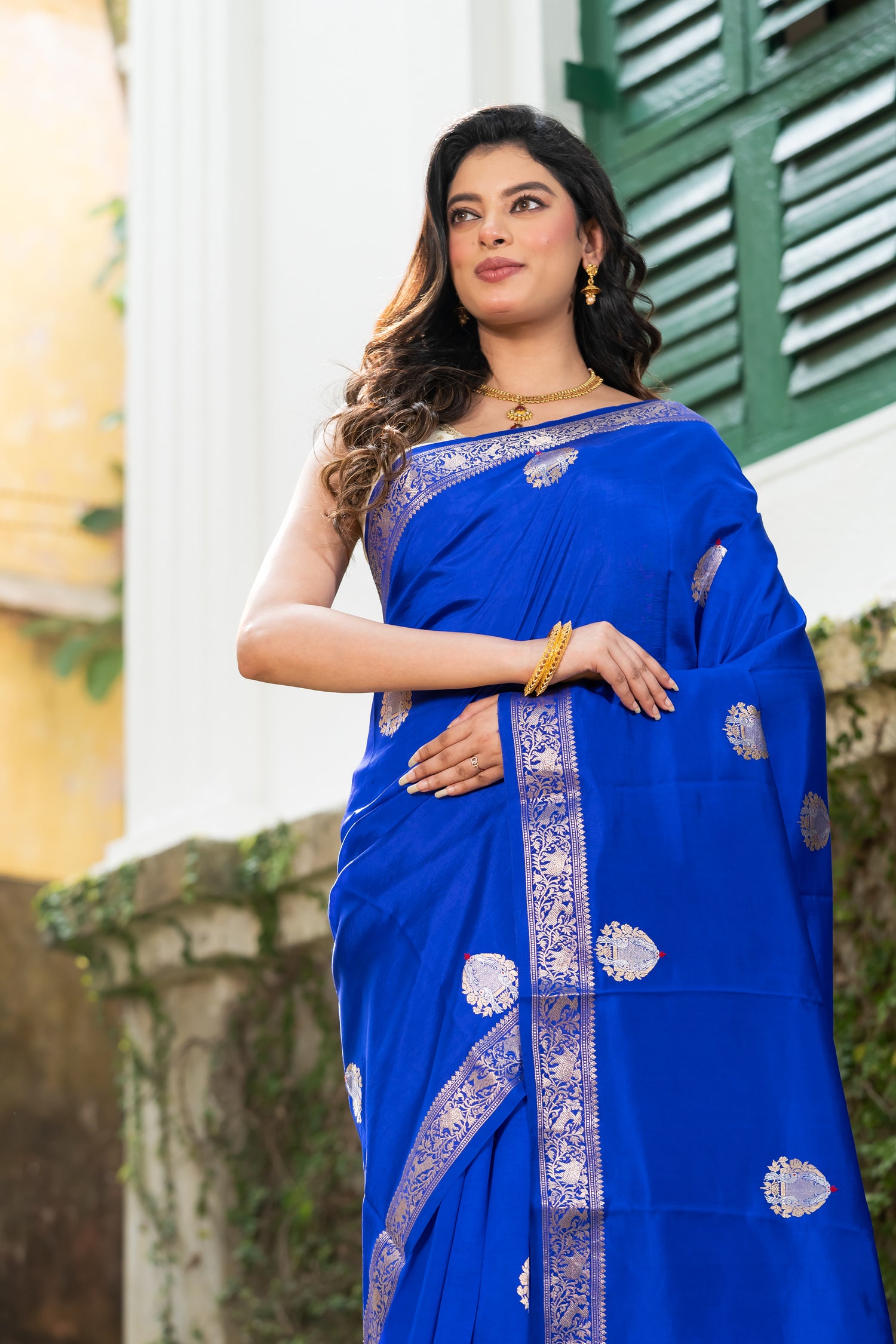 Pakhna Pure Mango Silk Minakari Banarasi Saree