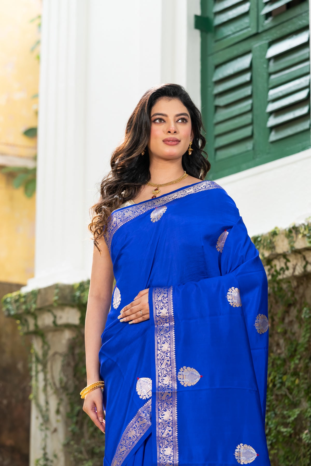 Pakhna Pure Mango Silk Minakari Banarasi Saree