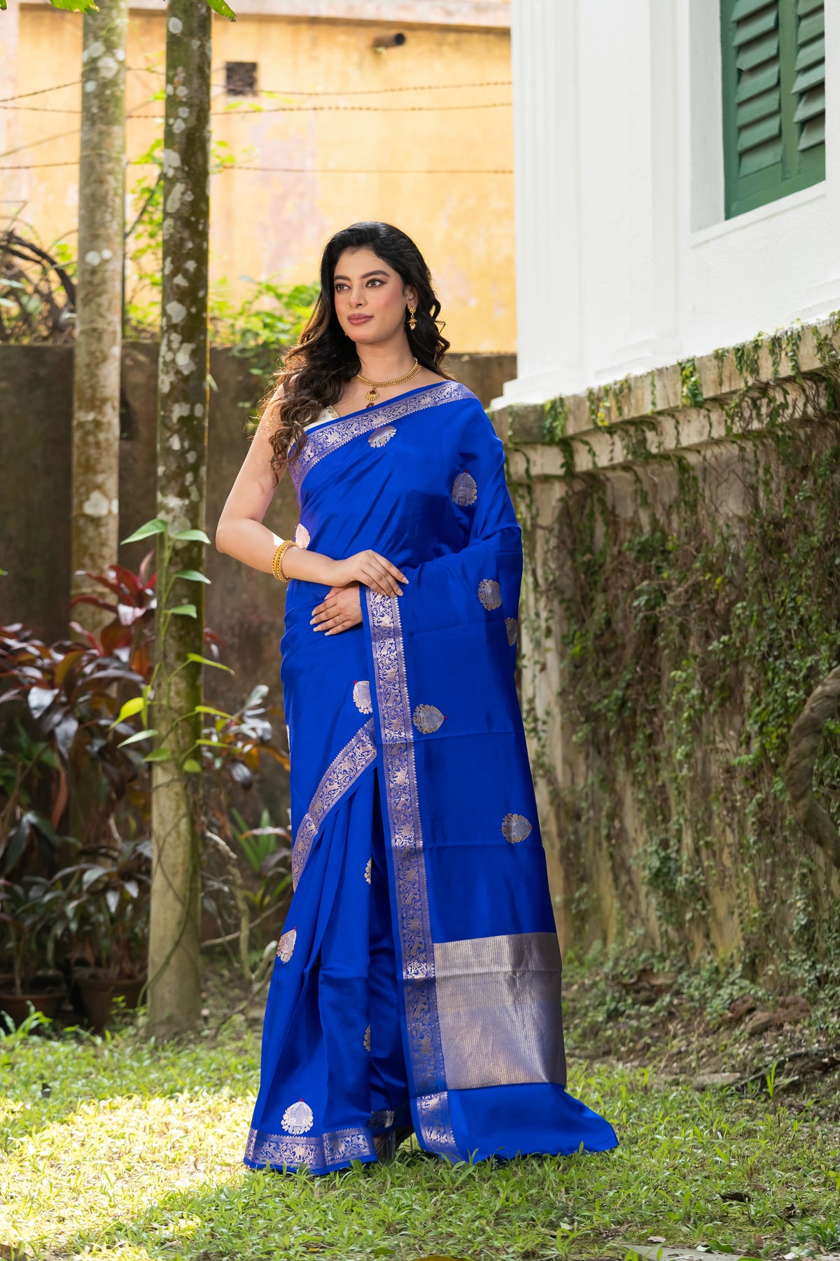 Pakhna Pure Mango Silk Minakari Banarasi Saree