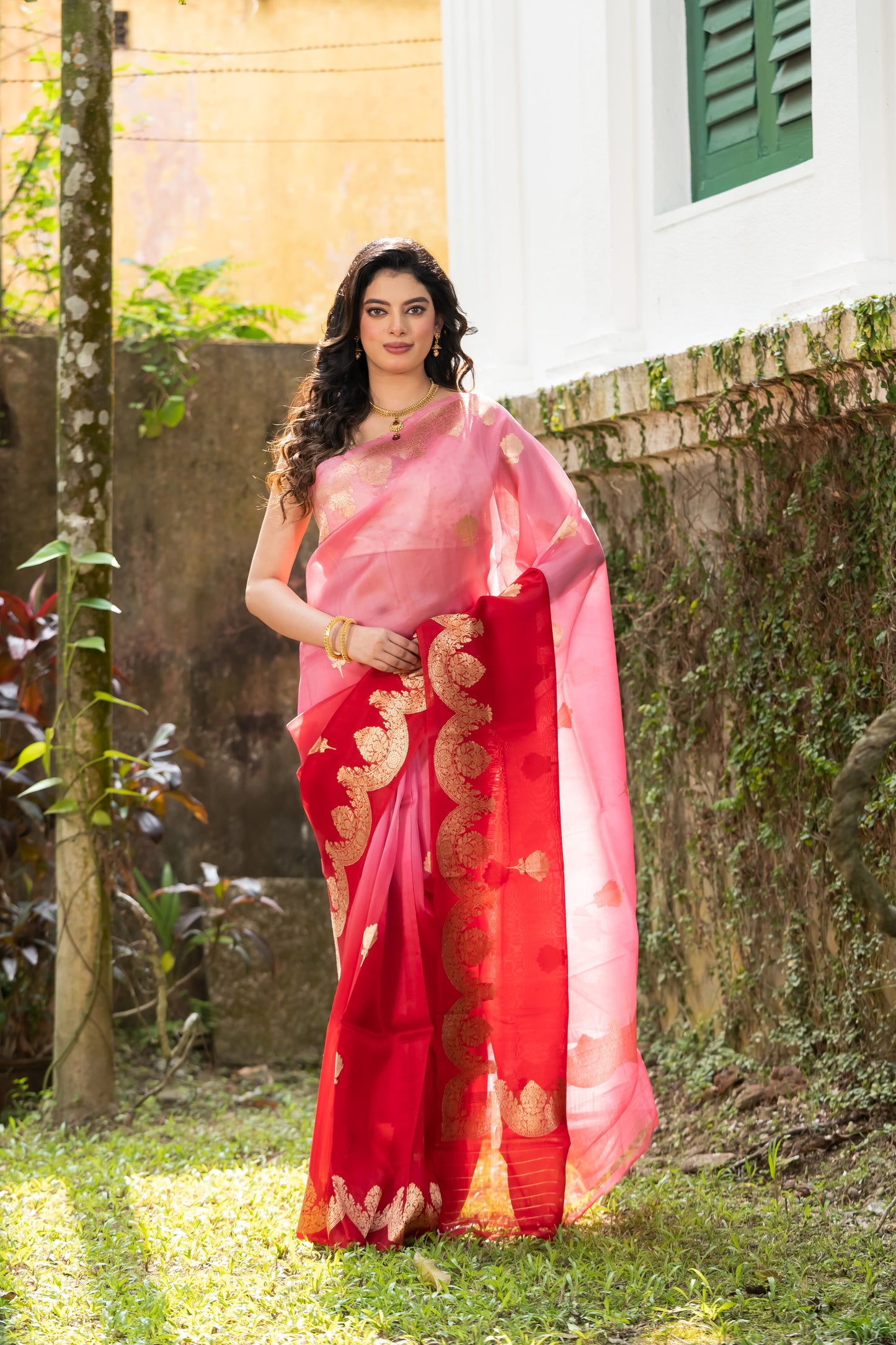 Pakhna pure Kora Banarasi saree