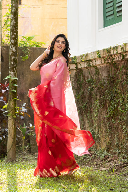 Pakhna pure Kora Banarasi saree