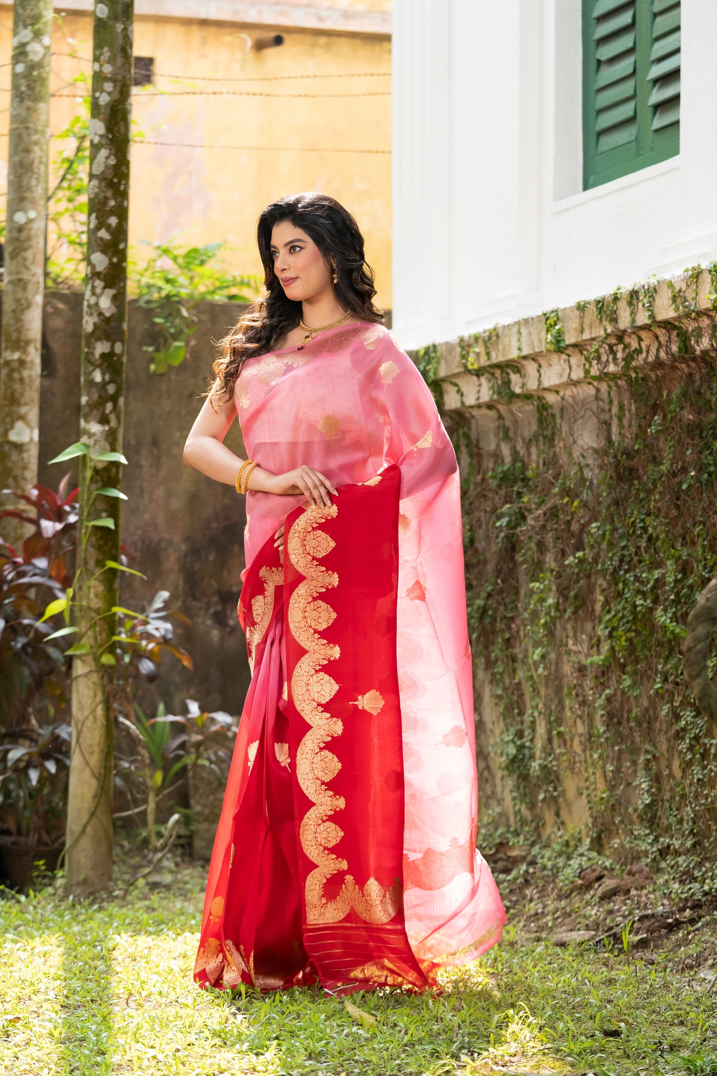 Pakhna pure Kora Banarasi saree