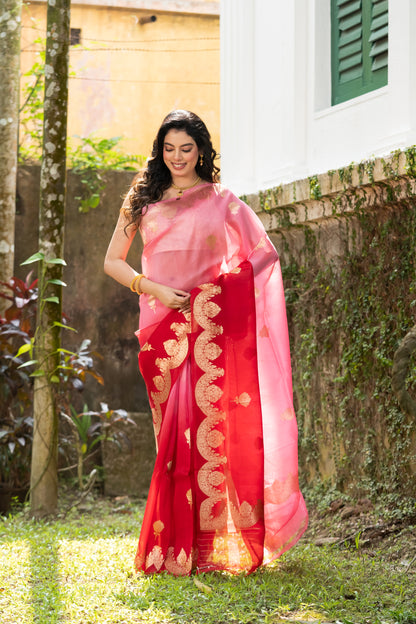 Pakhna pure Kora Banarasi saree