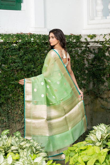 Pakhna fancy kora organza Banarasi saree