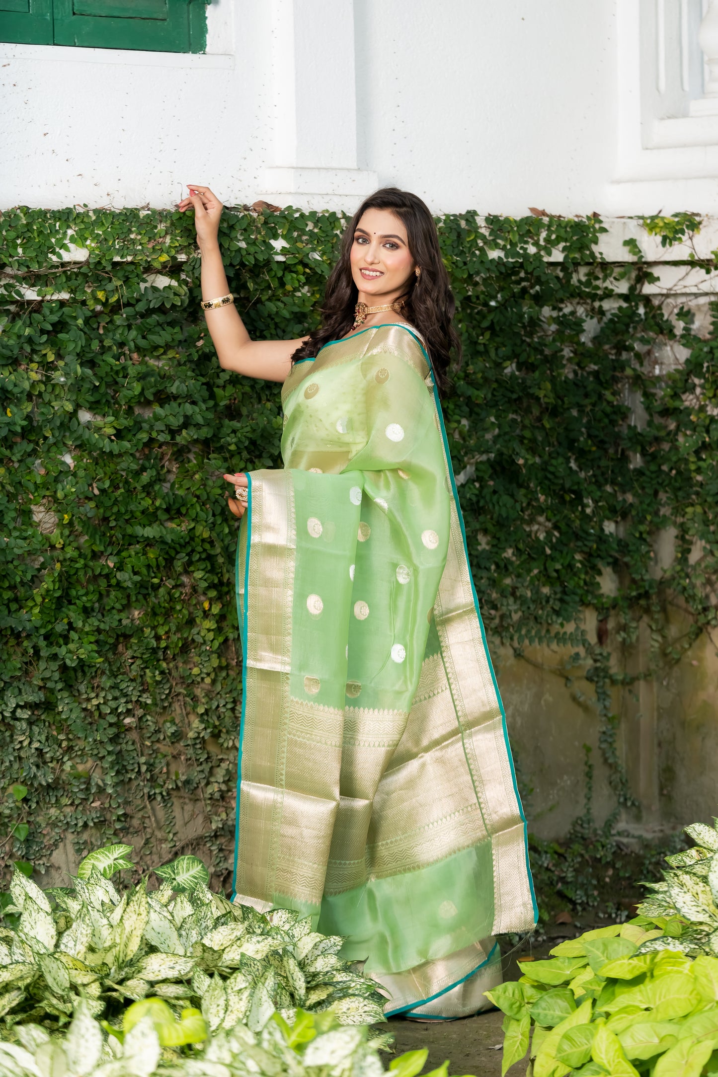 Pakhna fancy kora organza Banarasi saree