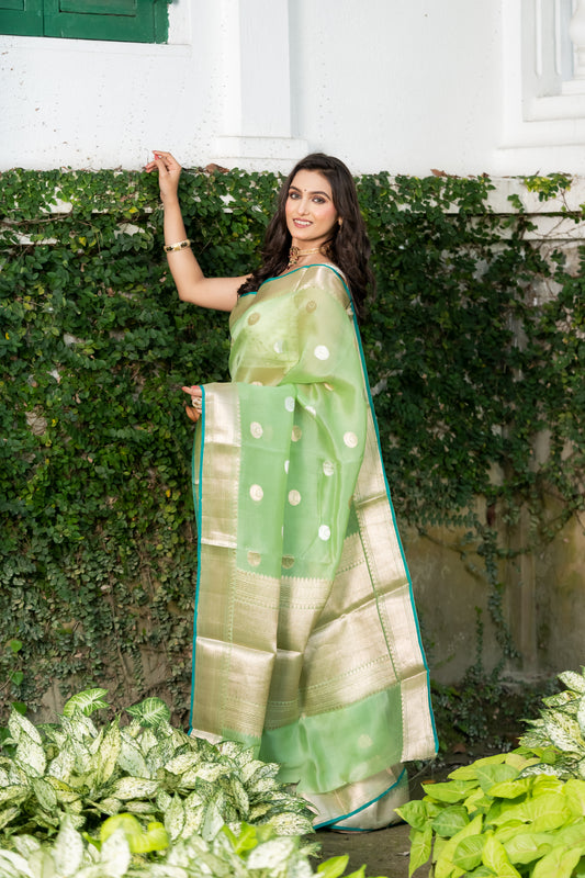 Pakhna fancy kora organza Banarasi saree