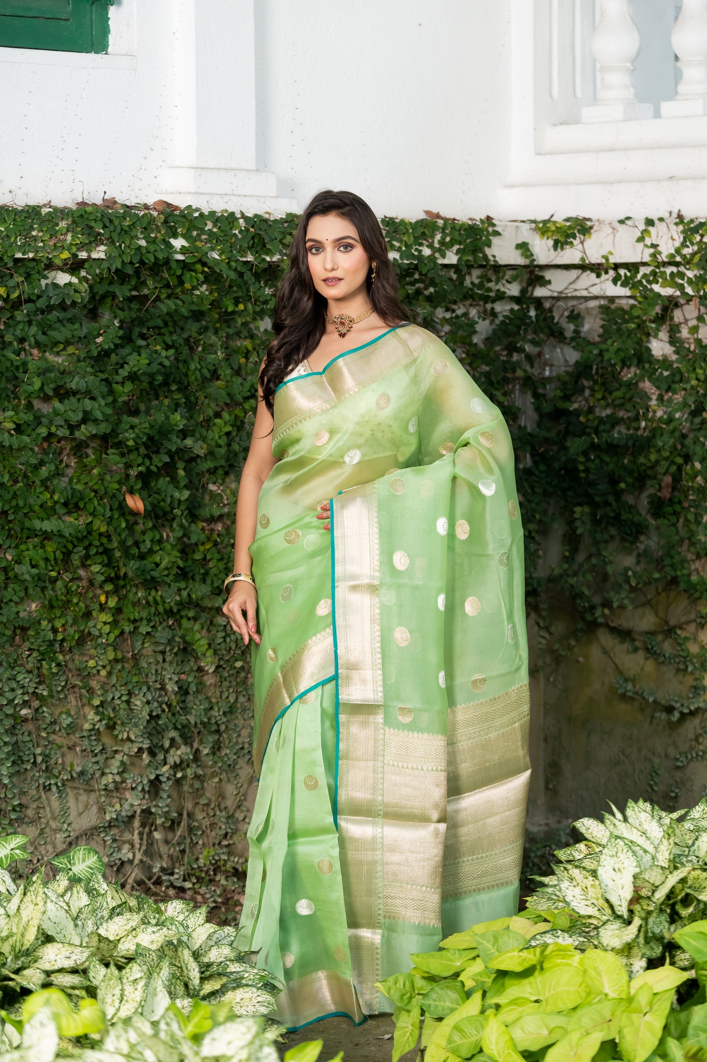 Pakhna fancy kora organza Banarasi saree