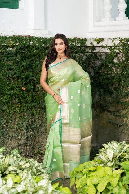 Pakhna fancy kora organza Banarasi saree