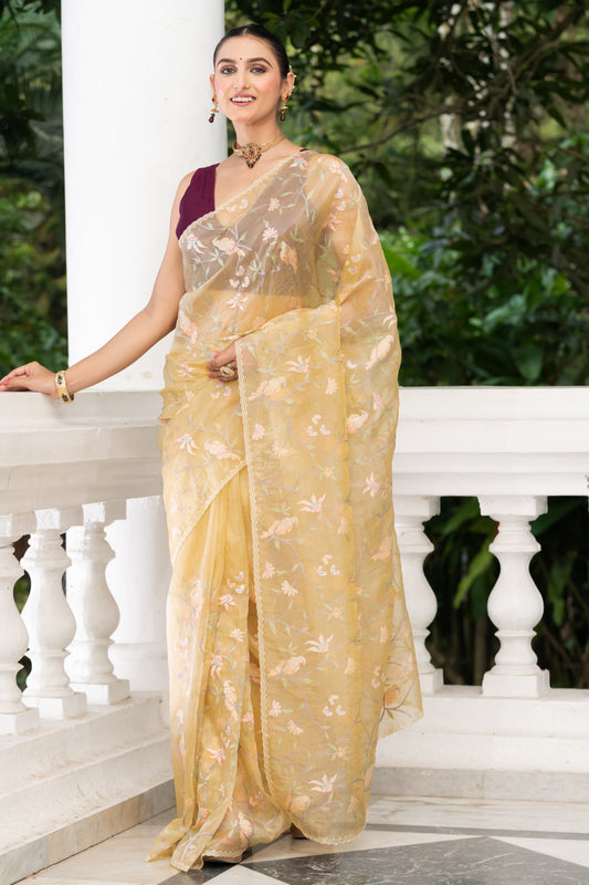 beige fancy tissue embroidery saree