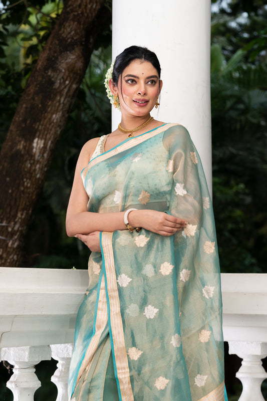 light blue pure tissue banarasi saree