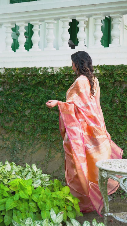 Pakhna pure tissue  Banarasi  saree with Sona Rupa zari