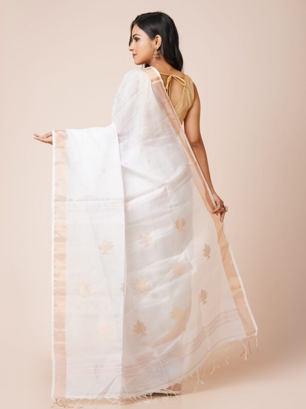 Light Beige and Cream Border Silk Cotton Saree