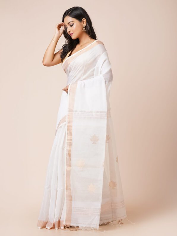 Light Beige and Cream Border Silk Cotton Saree